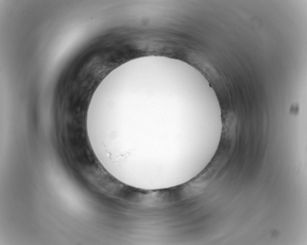 X0000093390430200711011315