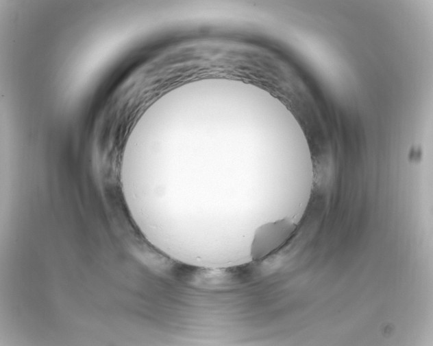 X0000093390431200711011315