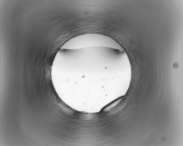 X0000093390432200711011315