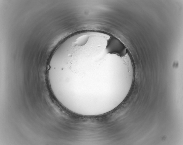 X0000093390434200711011314