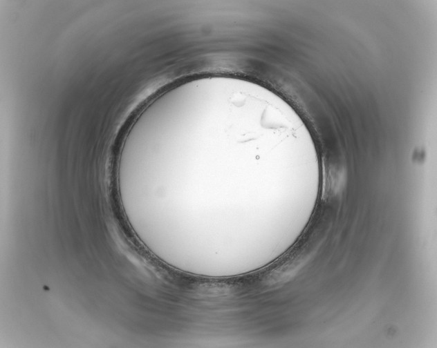 X0000093390435200711011314