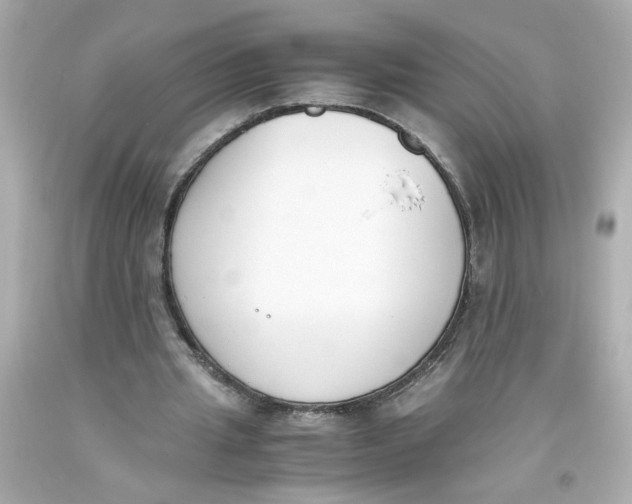 X0000093390437200711011314