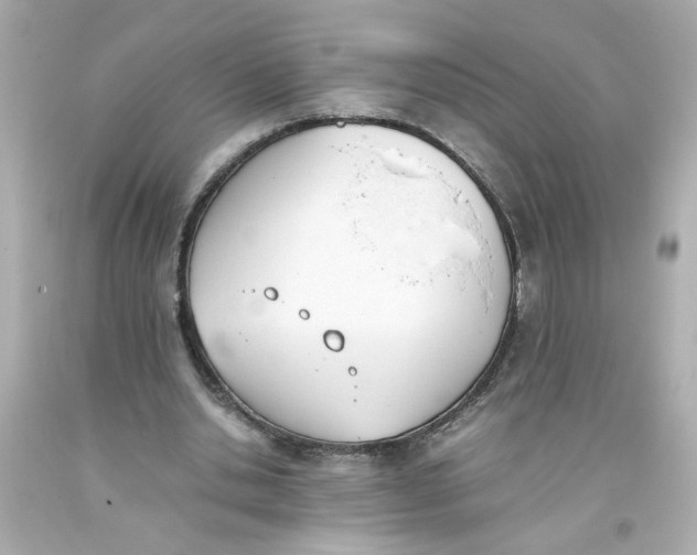 X0000093390438200711011314