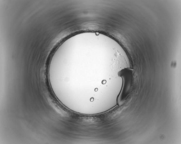 X0000093390439200711011314