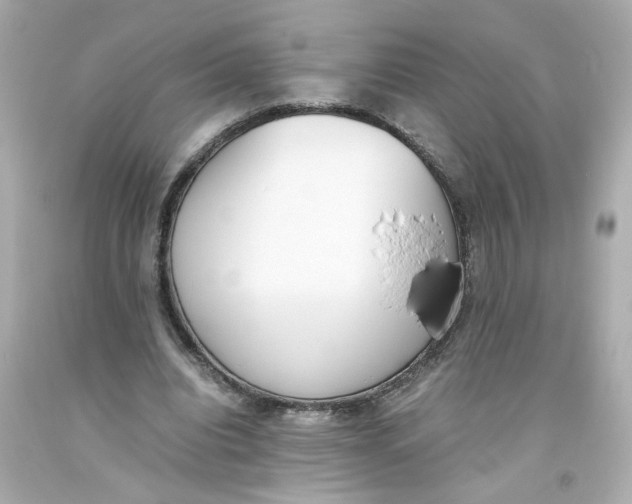 X0000093390440200711011314