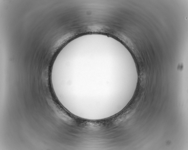 X0000093390442200711011314