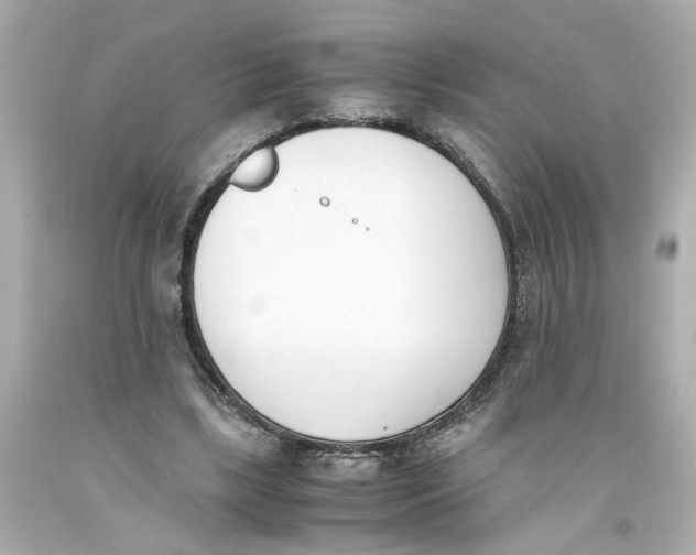 X0000093390443200711011314