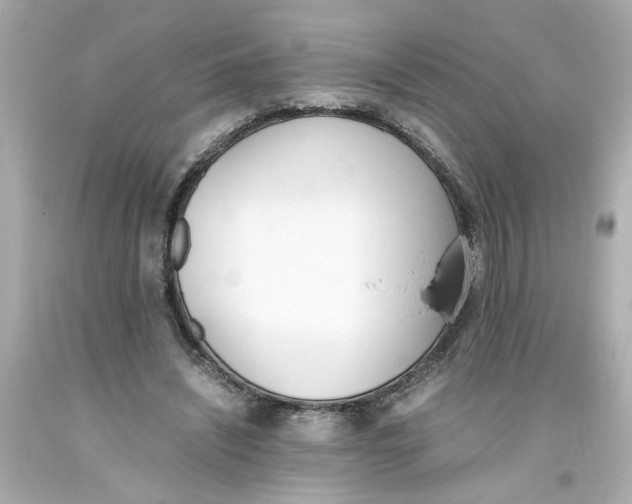 X0000093390444200711011314