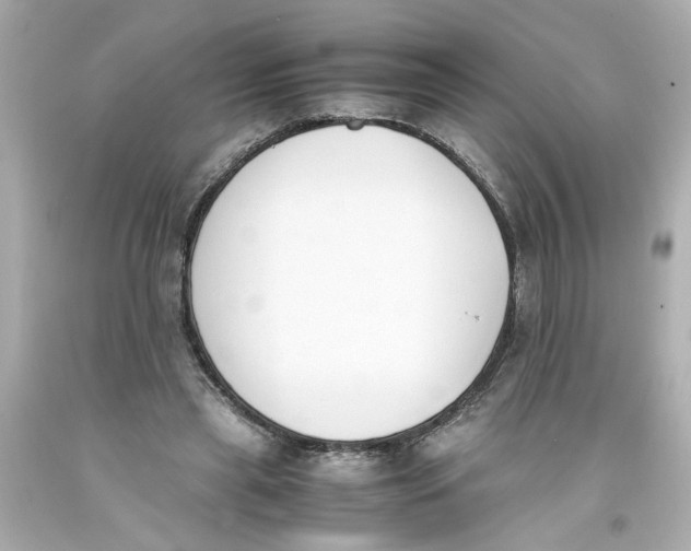 X0000093390445200711011314