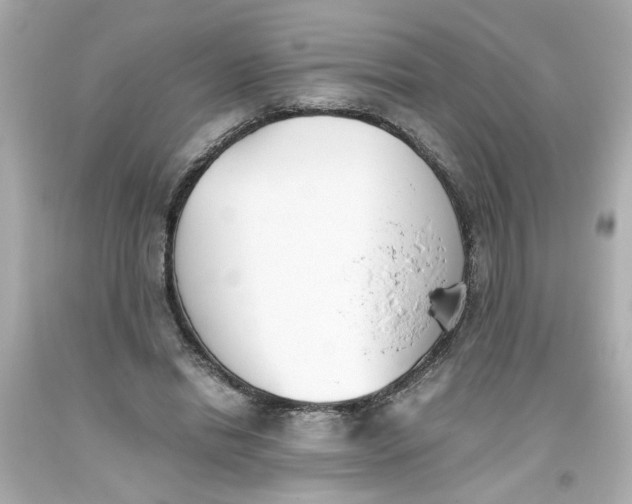 X0000093390446200711011314