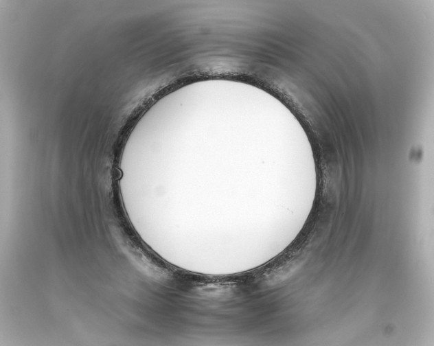 X0000093390447200711011314