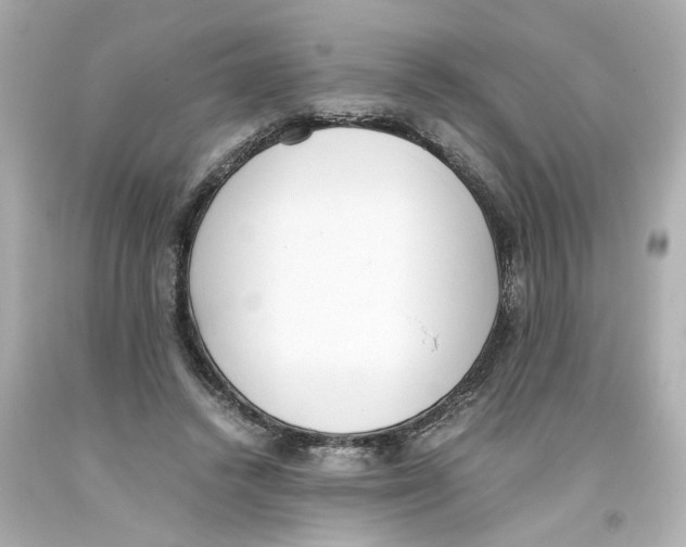 X0000093390448200711011314