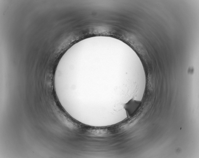 X0000093390449200711011314