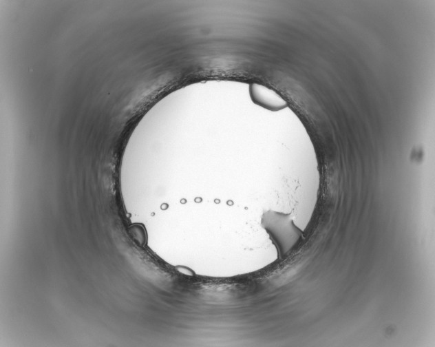 X0000093390450200711011314