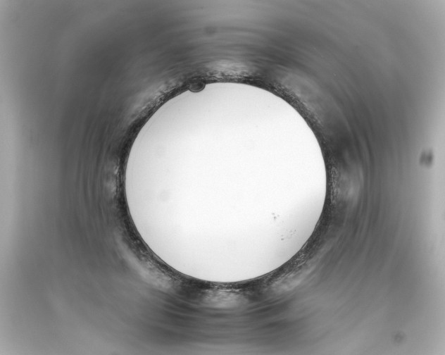 X0000093390451200711011314