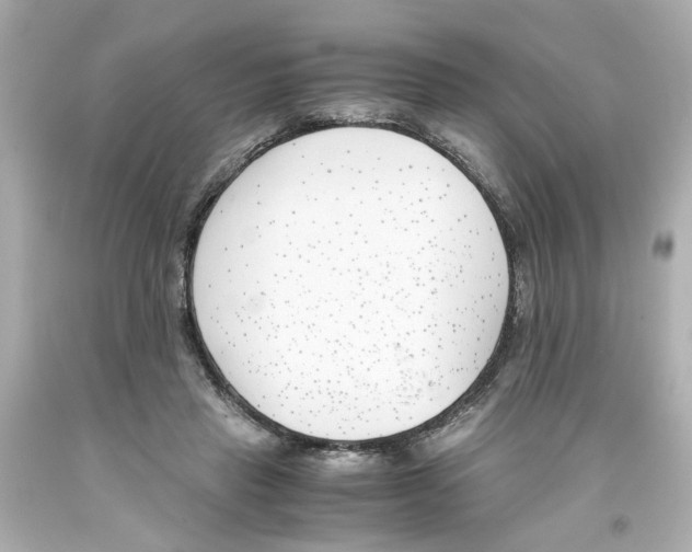 X0000093390453200711011314