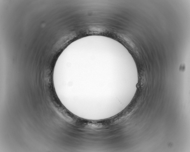 X0000093390455200711011314