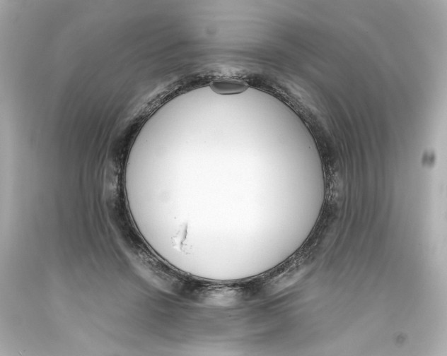 X0000093390456200711011315