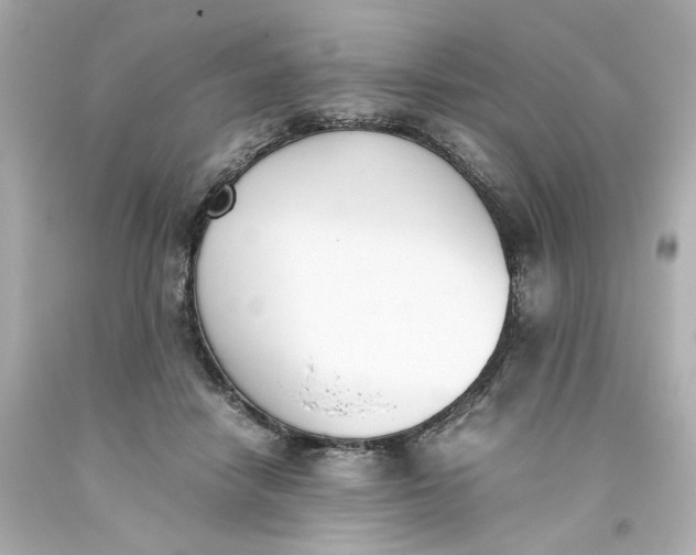 X0000093390458200711011315