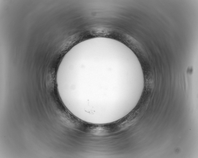 X0000093390460200711011315