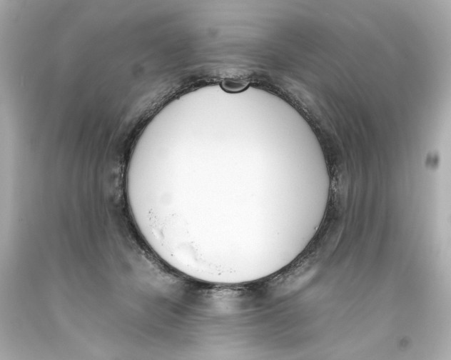 X0000093390462200711011315