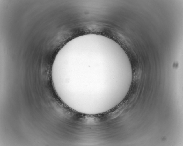 X0000093390464200711011315