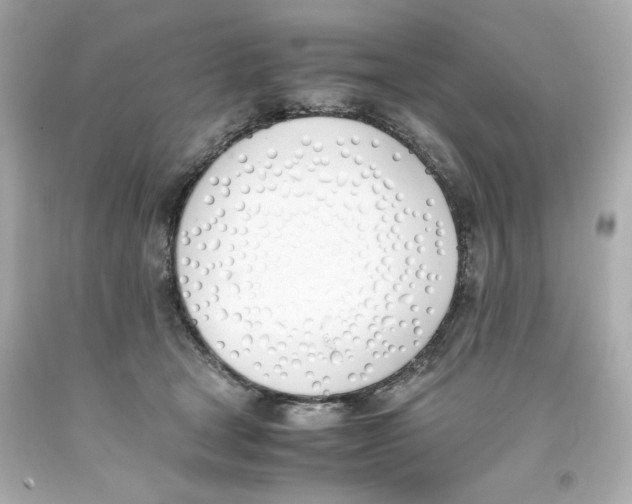 X0000093390465200711011315