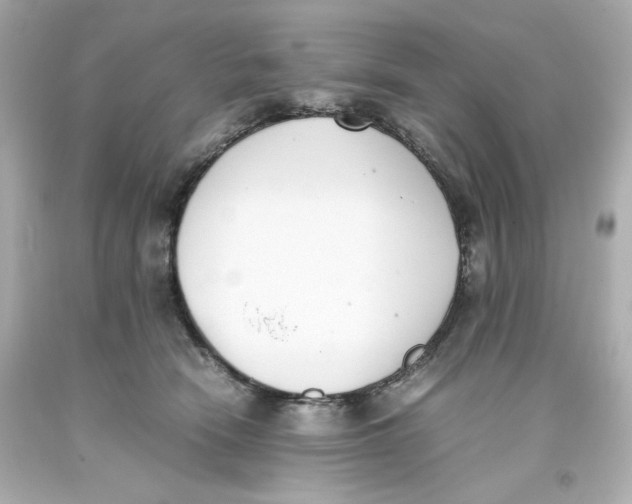 X0000093390466200711011315