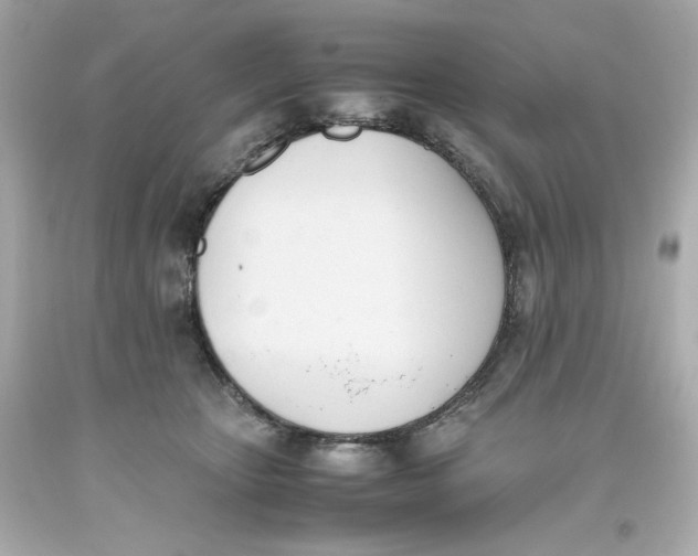 X0000093390467200711011315