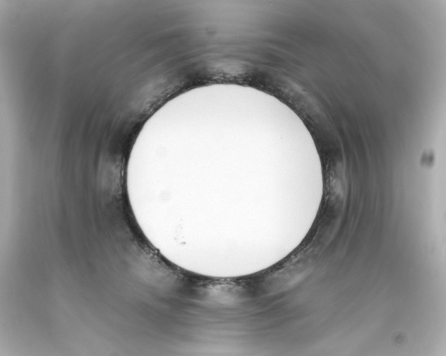 X0000093390468200711011315