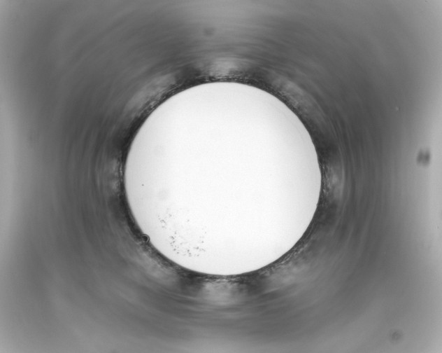 X0000093390470200711011315