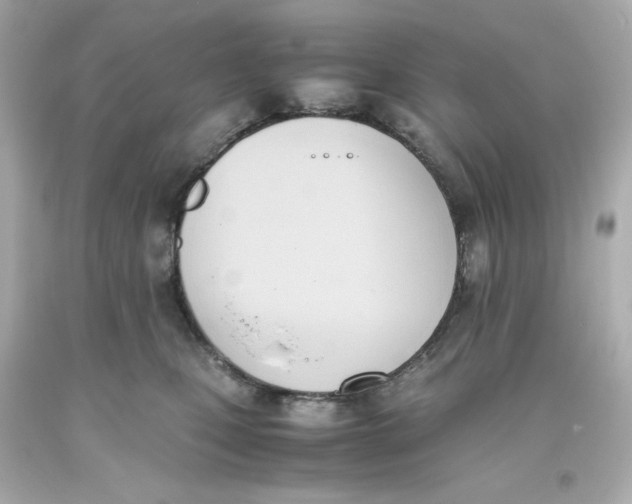 X0000093390471200711011315