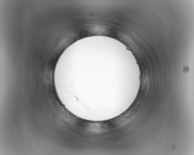 X0000093390473200711011315