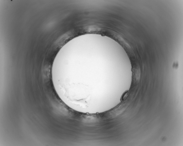 X0000093390475200711011315