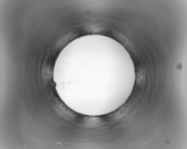 X0000093390476200711011315