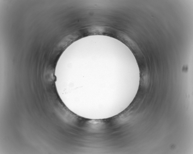 X0000093390477200711011315