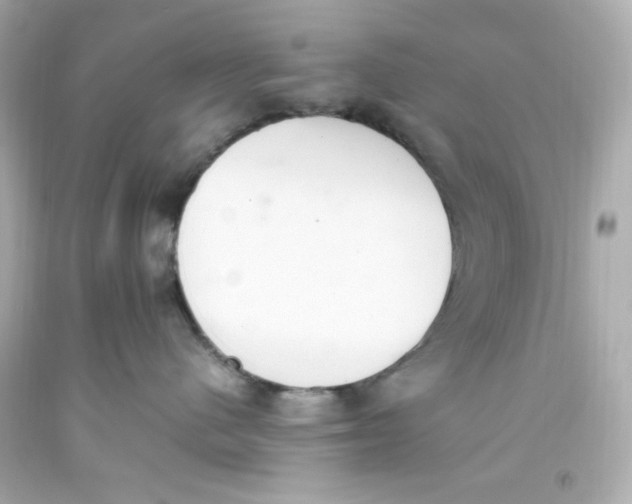 X0000093390480200711011315