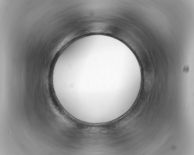 X0000093390482200711011314