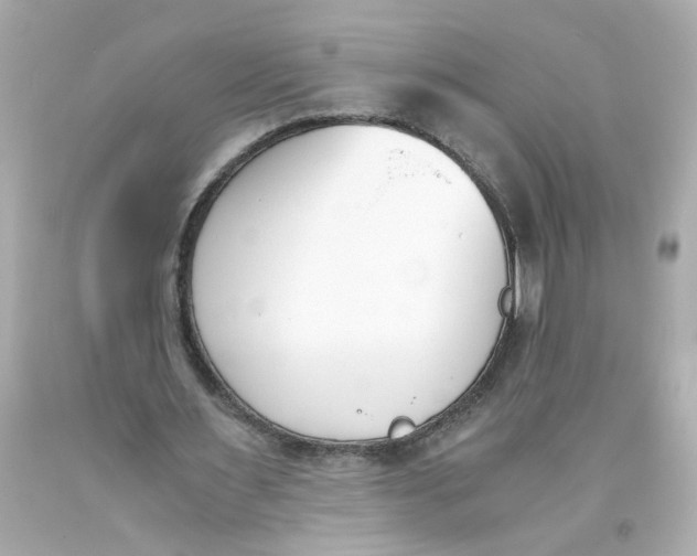 X0000093390483200711011314