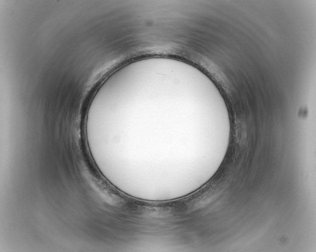 X0000093390486200711011314