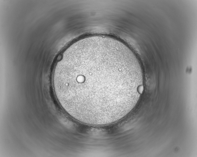 X0000093390487200711011314