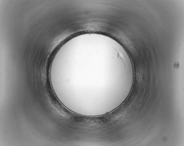 X0000093390488200711011314