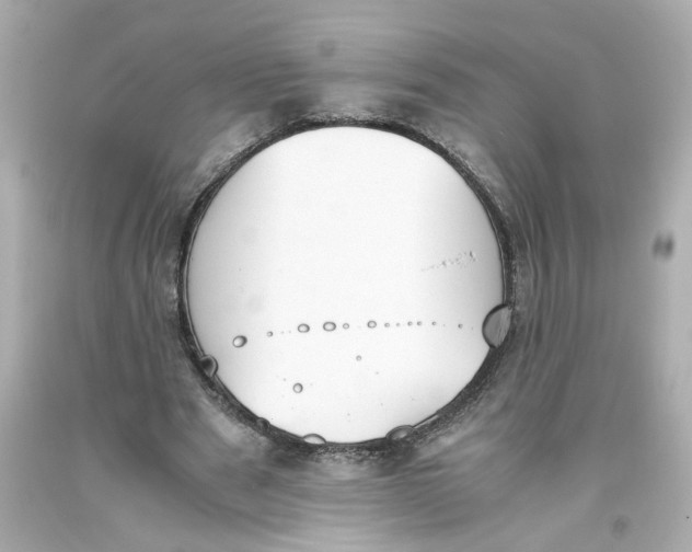 X0000093390489200711011314