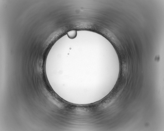 X0000093390490200711011314