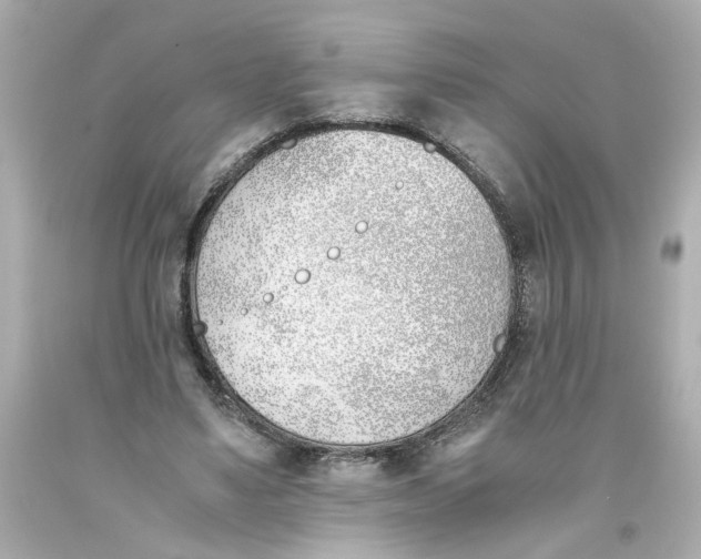 X0000093390491200711011314