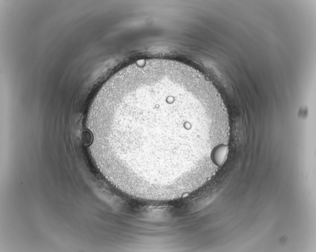 X0000093390495200711011314