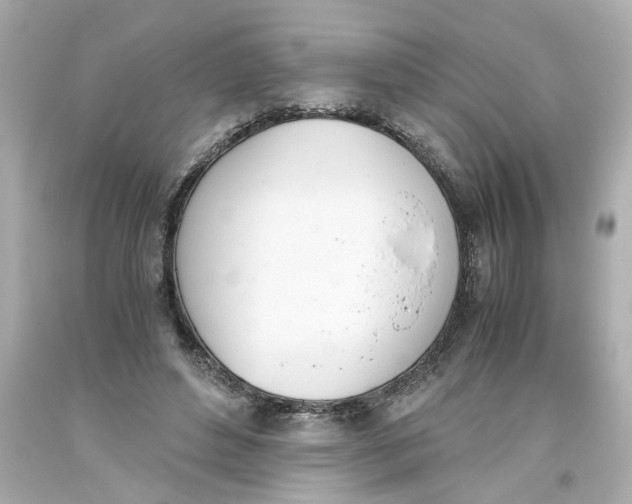 X0000093390496200711011314