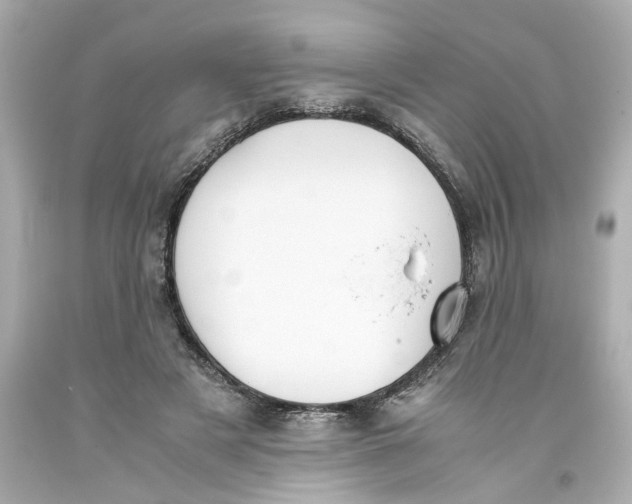 X0000093390497200711011314