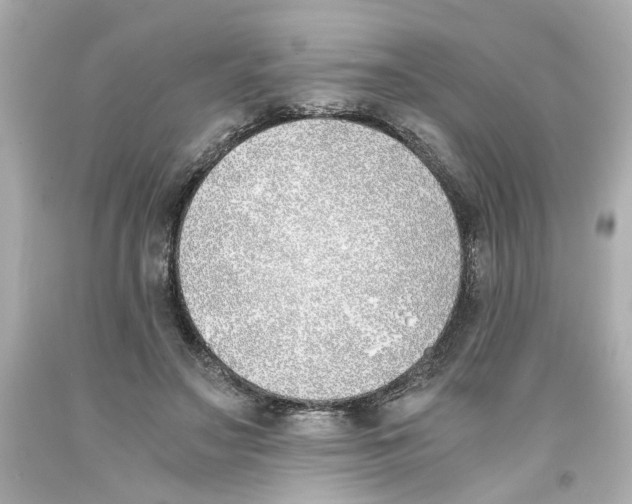 X0000093390499200711011314