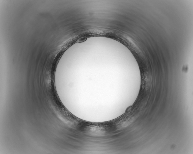 X0000093390500200711011314